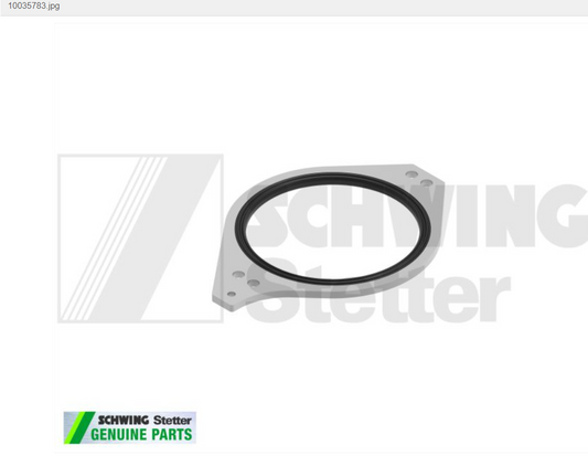 Sealing ring